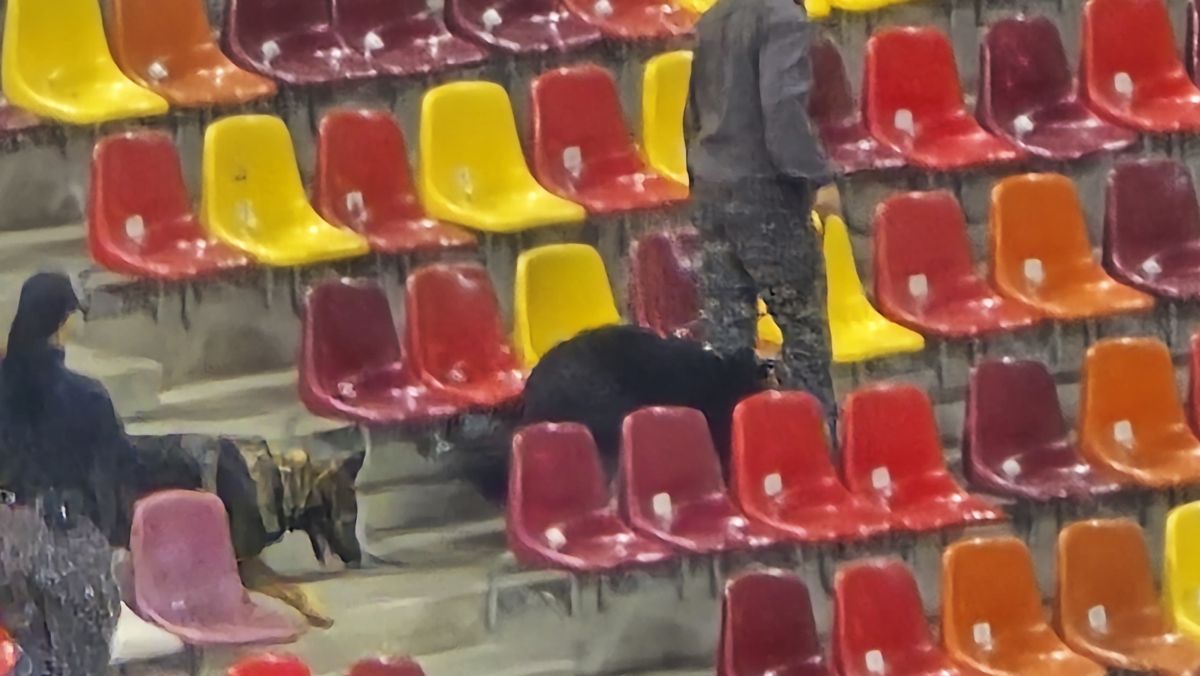 Arena Nationala inainte de FCSB - United (19).jpg