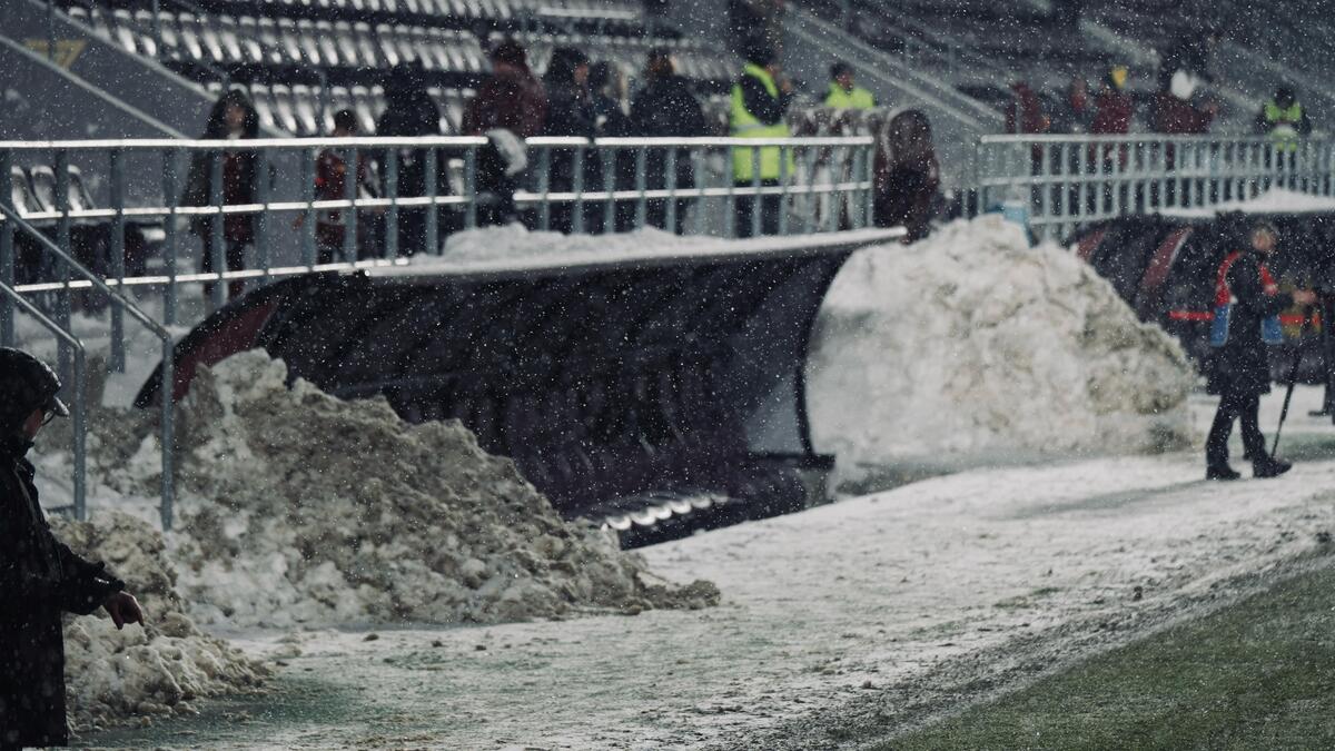Rapid - FC Botoșani, înainte de meci/ Foto: Iosif Popescu - GOLAZO.ro.jpeg