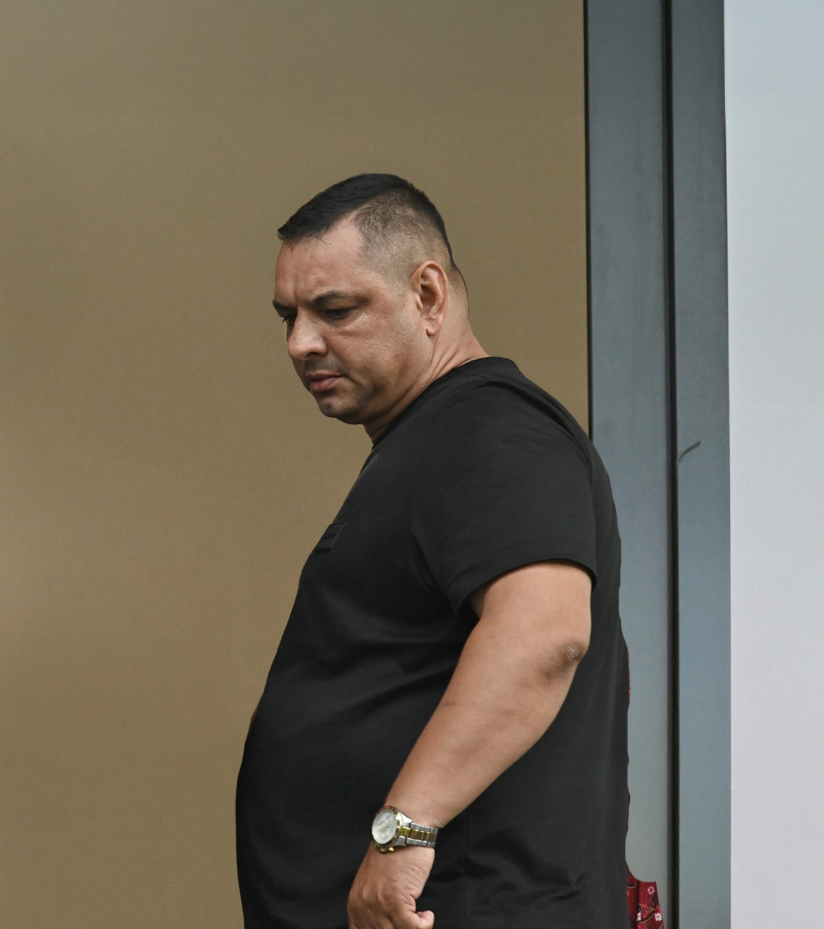 Ionel Ganea s-a retras în orașul său natal, Făgăraș