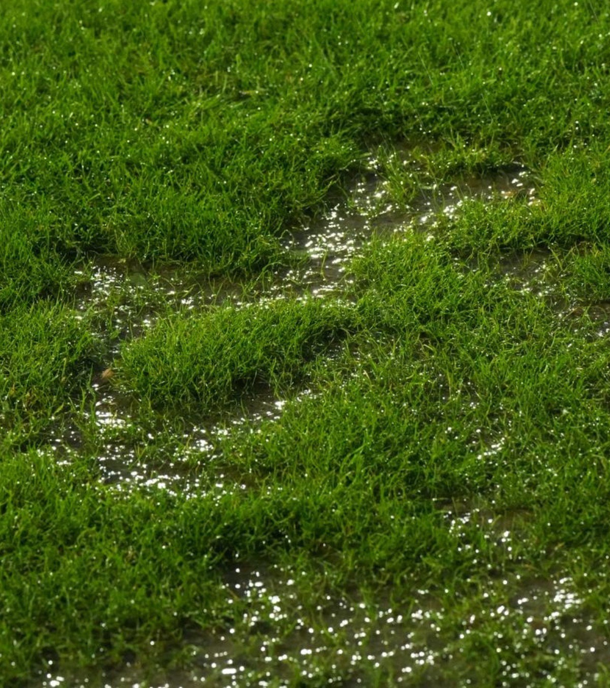 Bile albe, bile negre Concluzii după Slobozia - Dinamo, un meci jucat în condiții imposibile: o decizie rușinoasă și o situație inacceptabilă