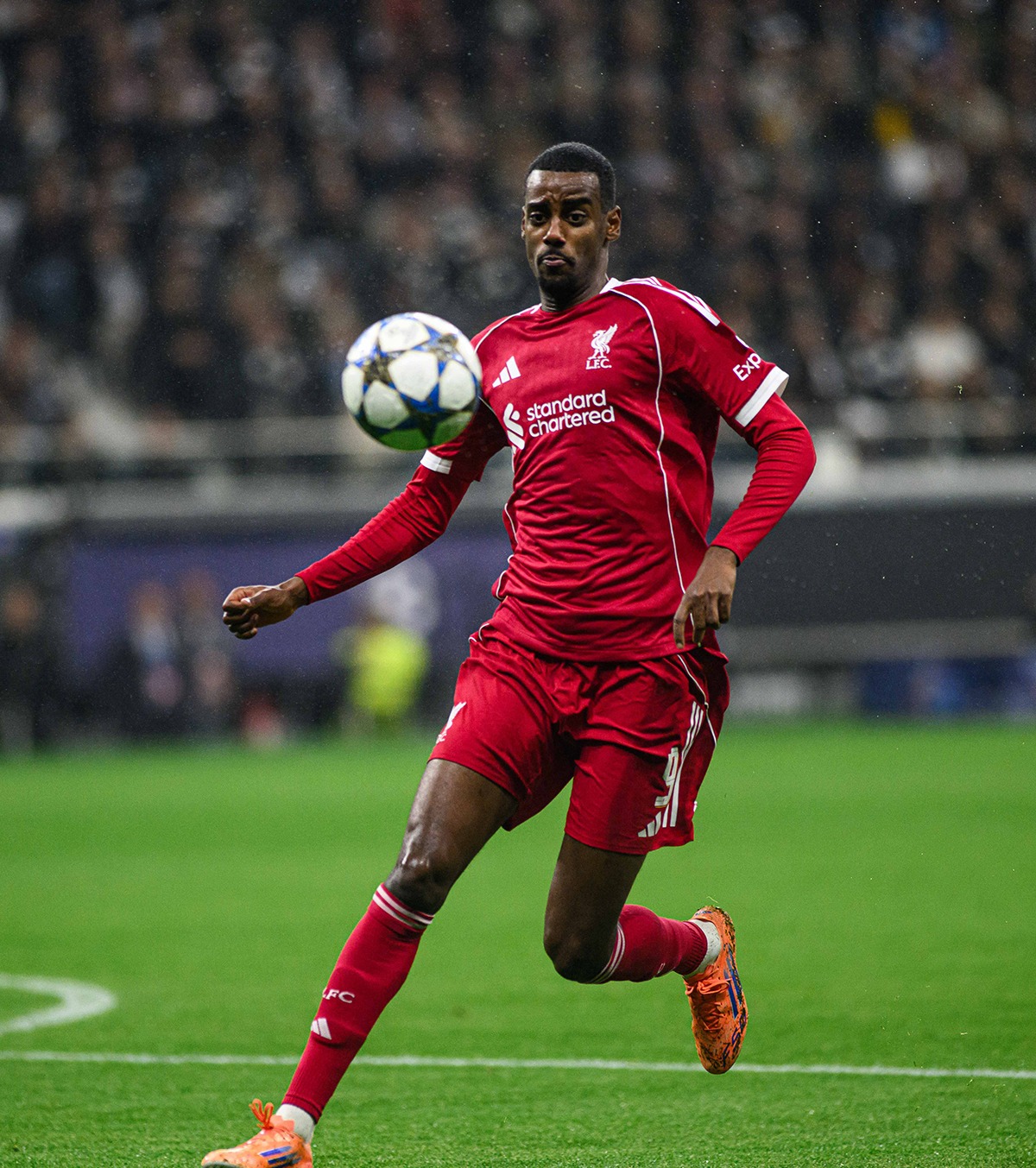 A dat 35.000 de euro pe un câine Starul lui Liverpool și-a luat „o fiară fabuloasă”, după ce a fost amenințat cu moartea