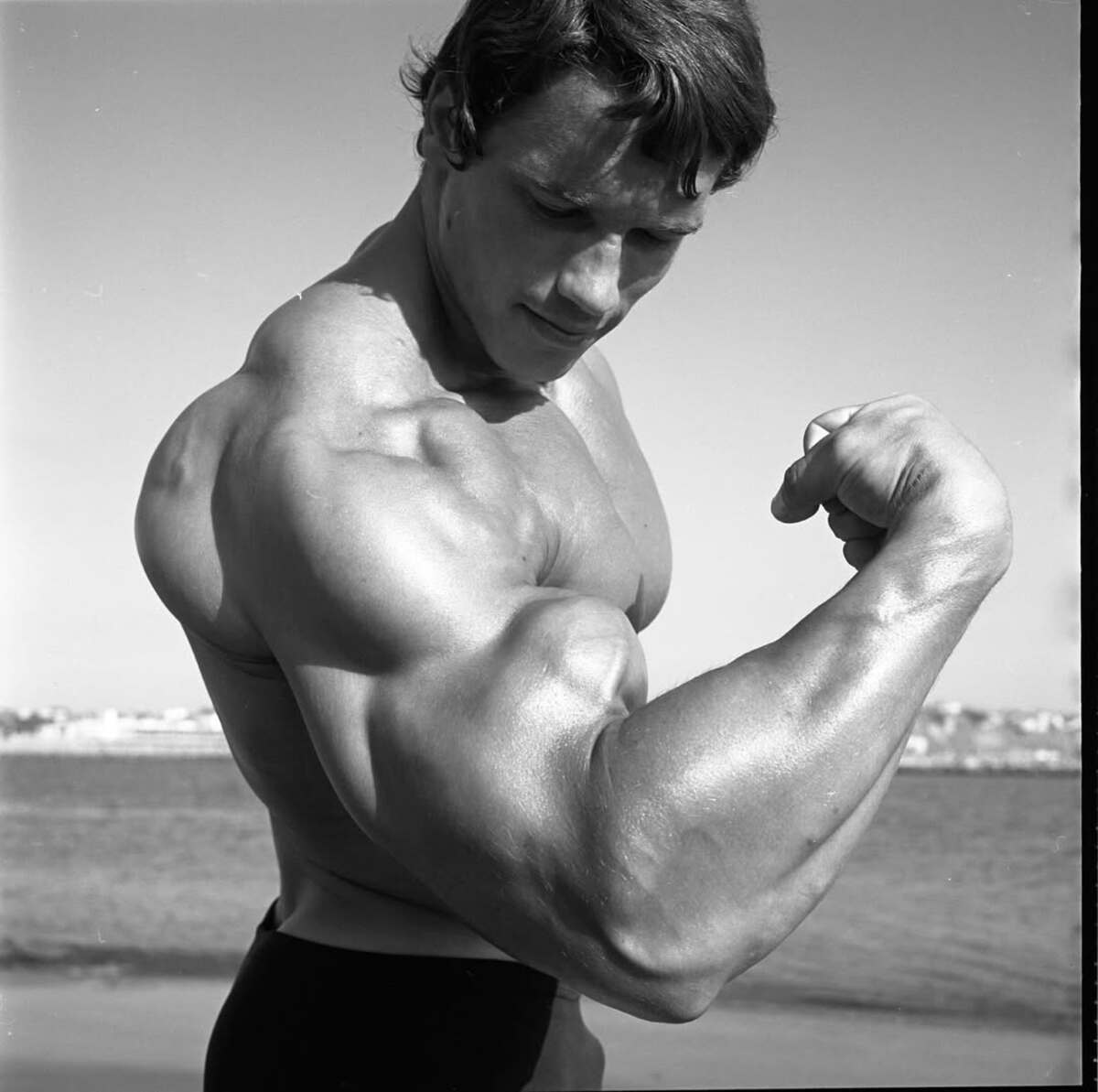 Dopajul, parte din cariera lui Arnold  Celebrul actor și culturist vorbește despre utilizarea substanțelor interzise și avertizează: „Oamenii mor”