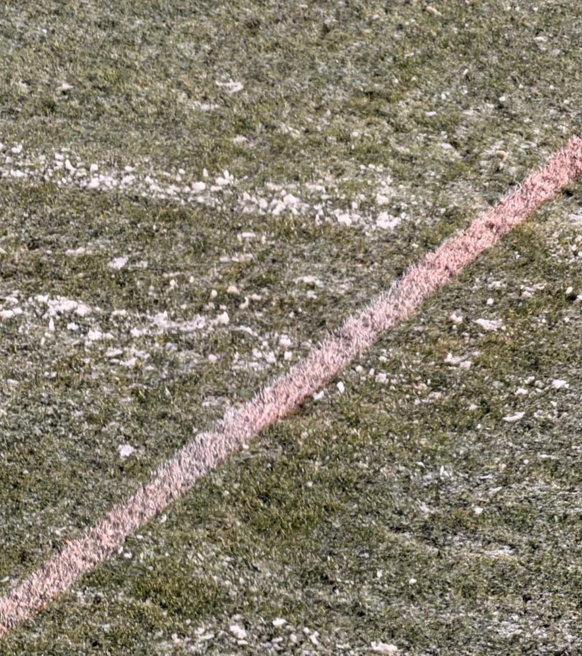 Liniile roz anulează sistemul VAR?!  Probleme înaintea meciului pe care FCSB voia să îl boicoteze: ce au făcut organizatorii, la Mioveni