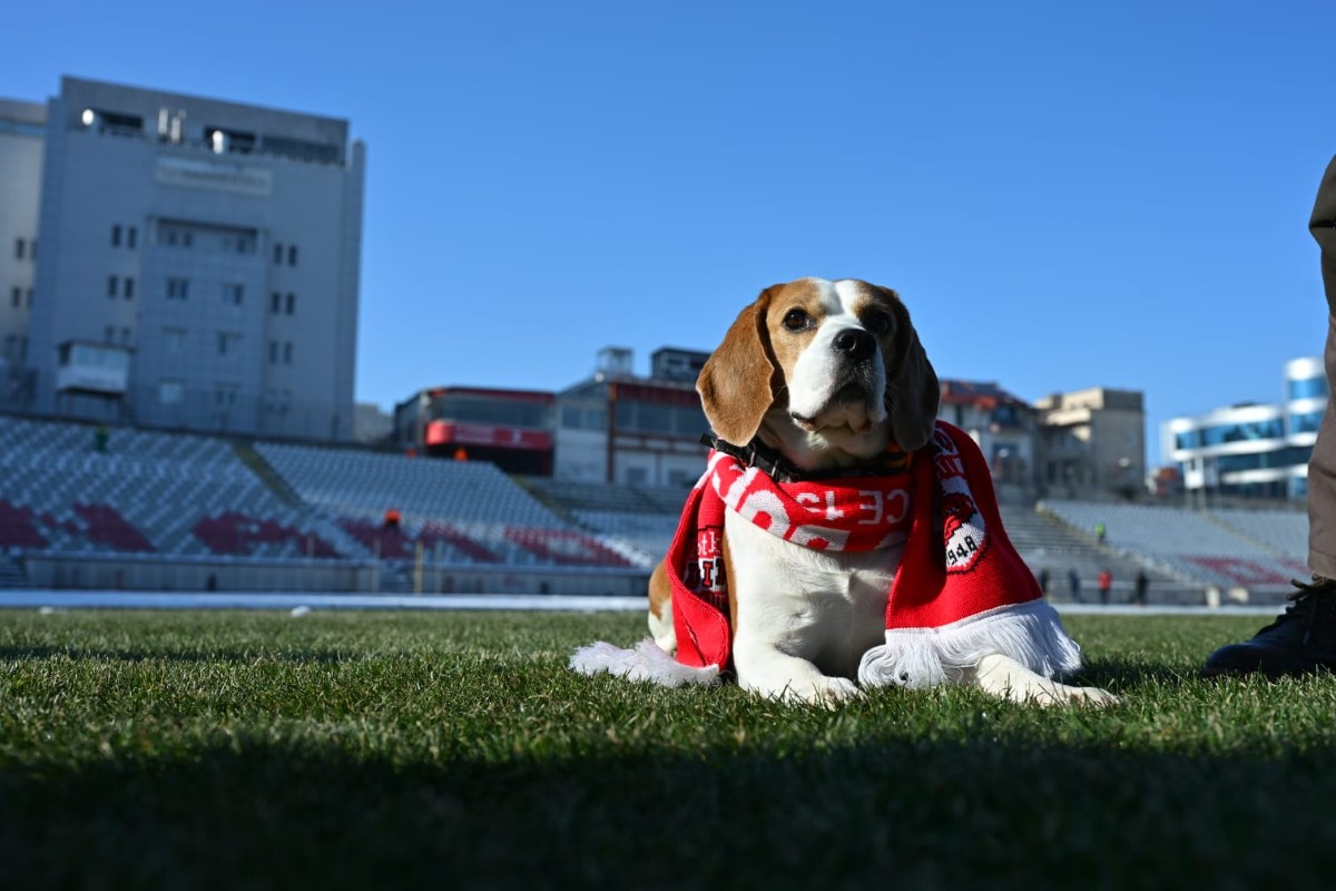 A început demolarea stadionului Dinamo FOTO Raed Krishan/GOLAZO.ro