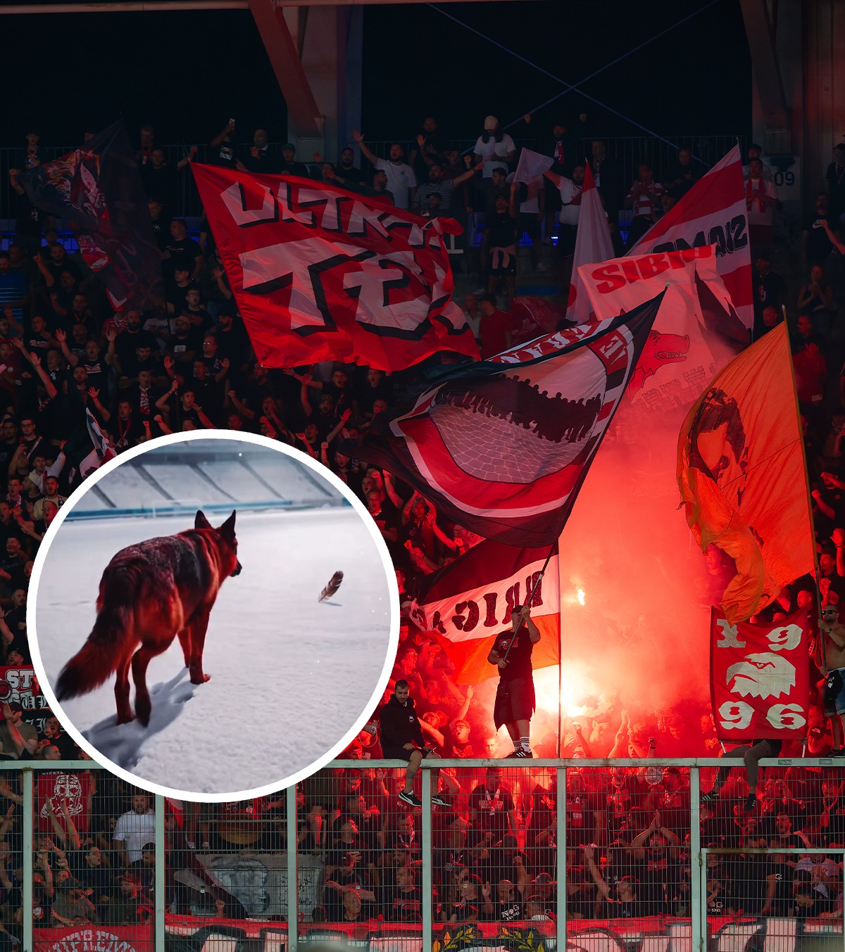 „E instigare!” Suporterii lui Dinamo reacționează după clipul postat de club: „Lipsă de decență și de respect față de adversar”