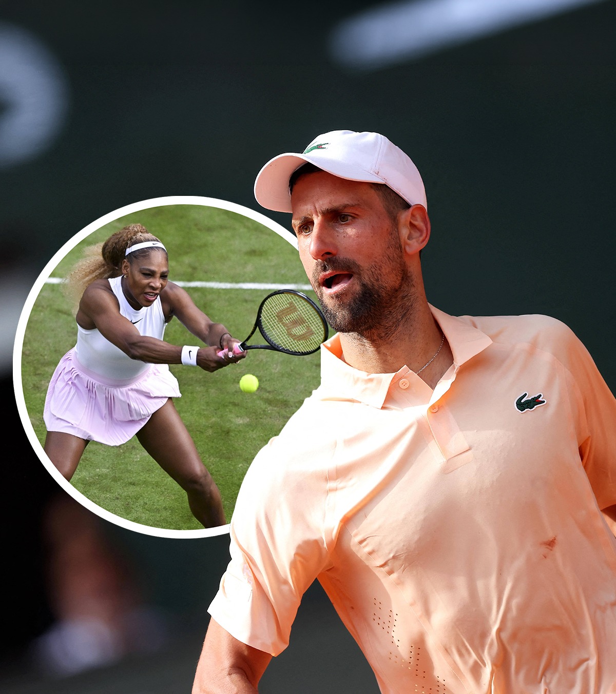 „Inspirațional și epic” Ce l-a uluit pe Novak Djokovic la Serena Williams. Sportiva din SUA revine la Wimbledon la 44 de ani