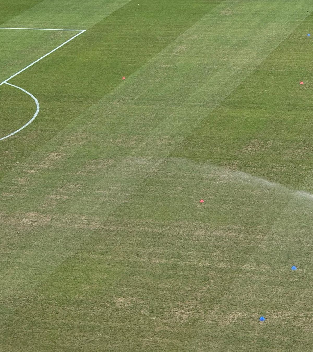 Gazon execrabil în Ghencea FOTO. Cum se prezintă suprafața de joc înainte de FCSB - FK Auda