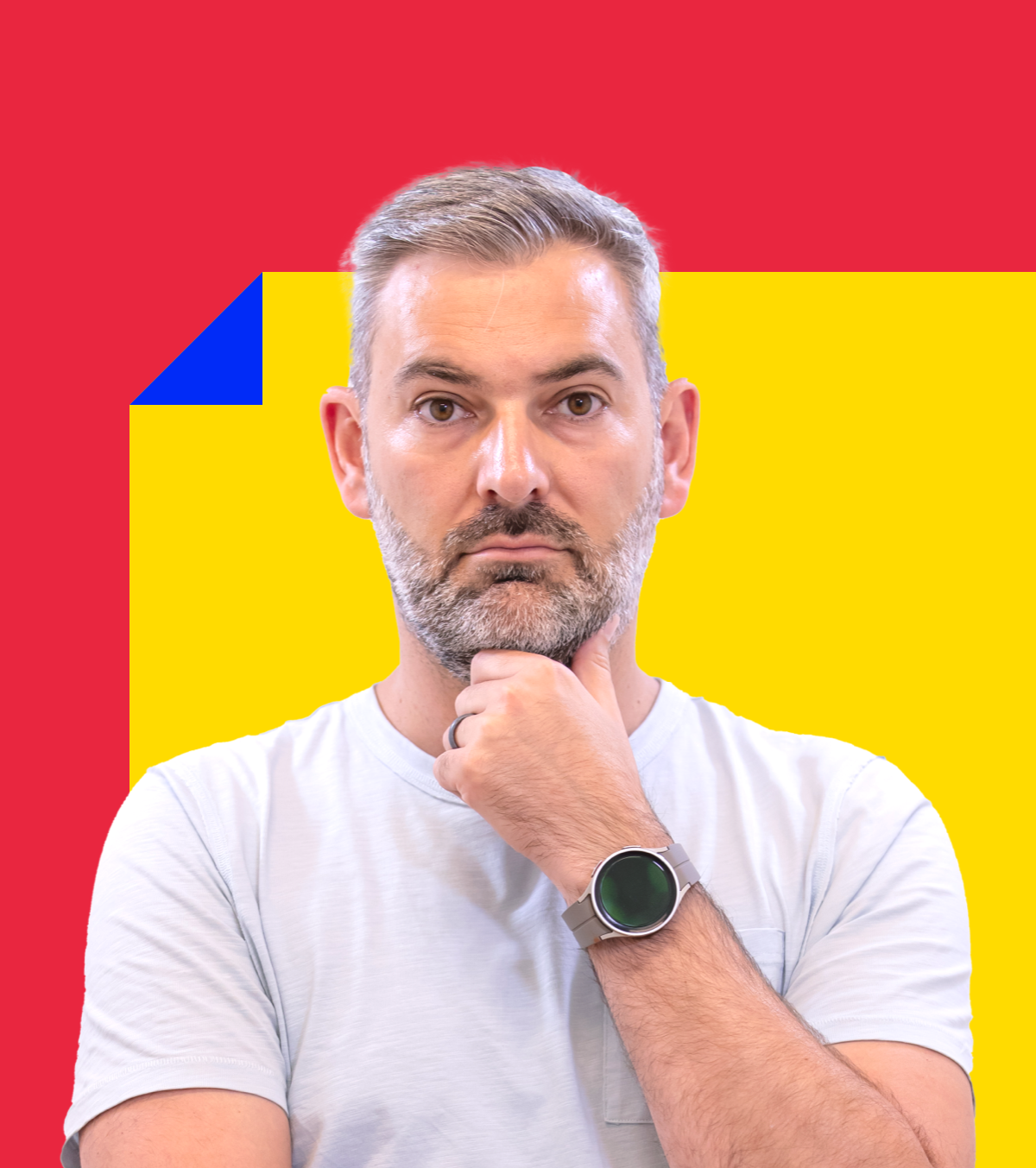 Silviu Tudor Samuilă   Prăpastia