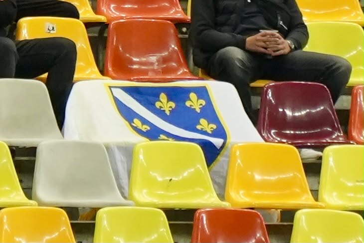 Rumunija - Bosna, utakmica GOLAZO FOTO (2).jpeg